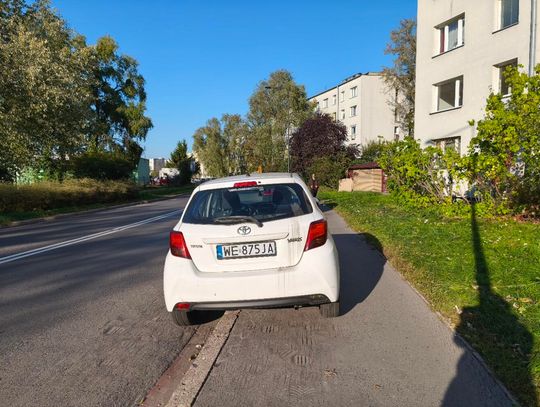 Mistrzowie parkowania #95
