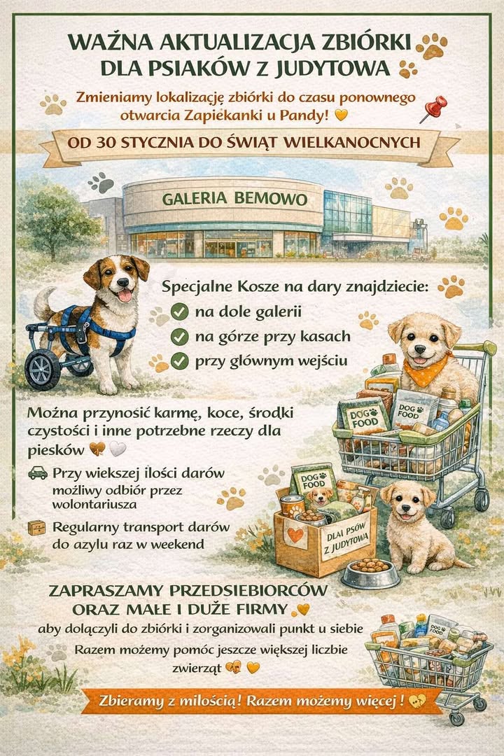 Nie potrzeba wielkich gestów, by realnie pomóc – czasem wystarczy puszka karmy, koc lub legowisko. Lokalna zbiórka darów na rzecz Fundacji Judyta, zainicjowana przez Paulinę Skowroń, pokazuje, jak siła społeczności może zmieniać los zwierząt w potrzebie.